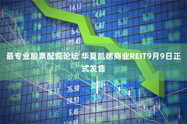 最专业股票配资论坛 华夏凯德商业REIT9月9日正式发售