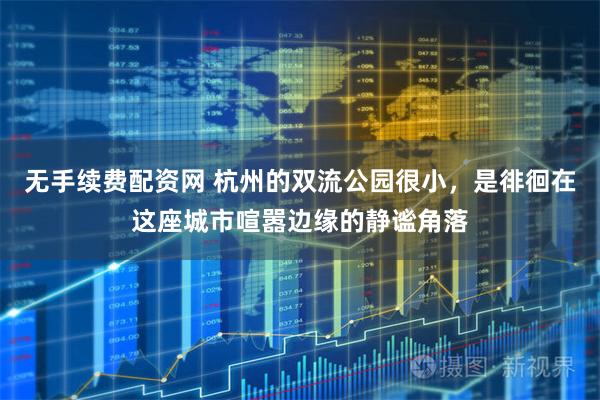无手续费配资网 杭州的双流公园很小，是徘徊在这座城市喧嚣边缘的静谧角落